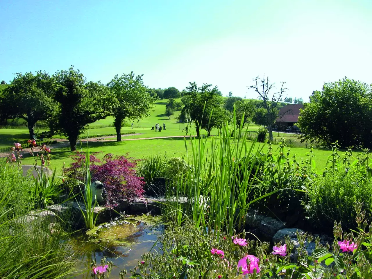 Golfclub Rheinblick Bild