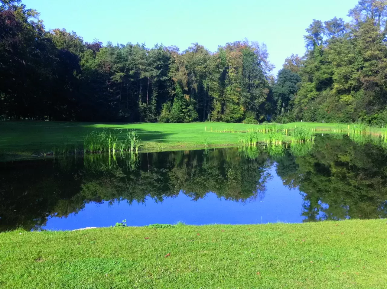 Golf Club Schinznach Bad Bild