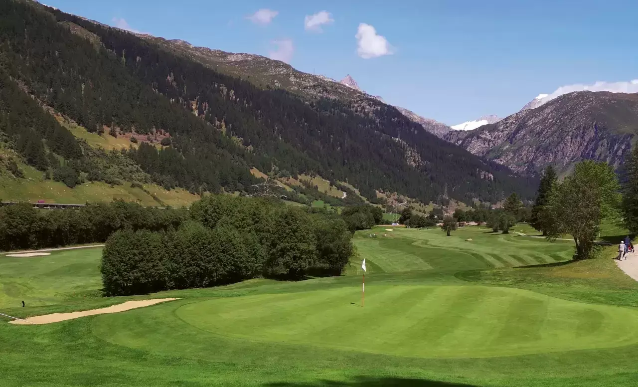 Golf Goms