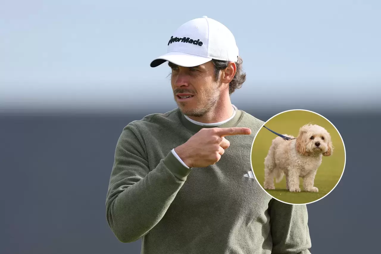 Hund stiehlt Gareth Bales Golfball vom Grün