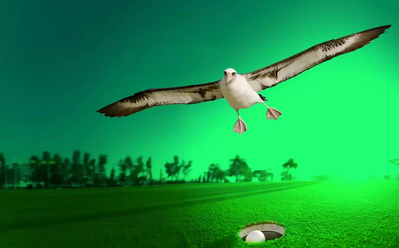 Ein Albatros erzählt immer eine Geschichte Golf.ch wird auch in Zukunft spannende Berichte und Analysen zu den größten Momenten der Golfgeschichte liefern. Bleiben Sie dran