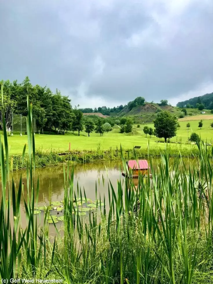 Golfplatz Weid-Hauenstein