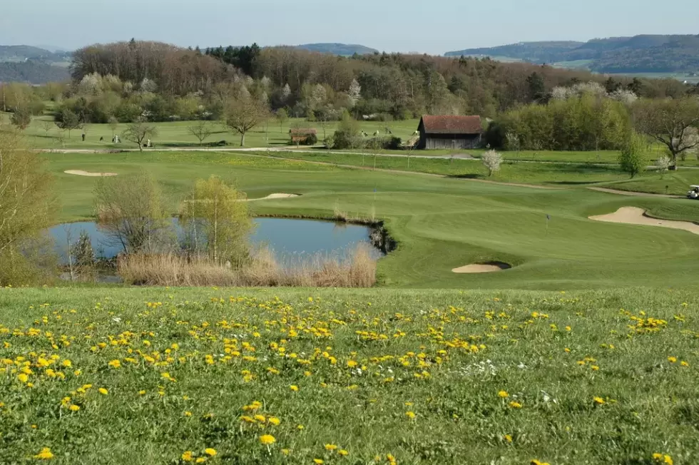 Golfclub Rheinblick Bild