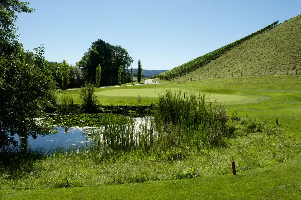 Golfclub Schloss Goldenberg Bild